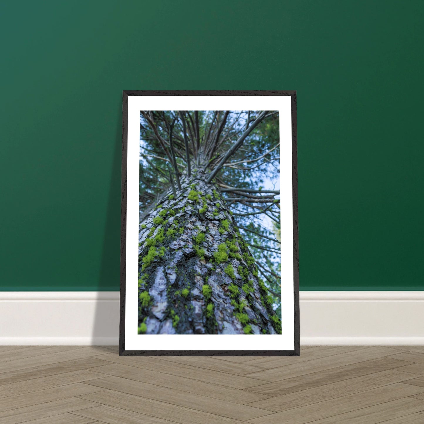 79b88150-9140-4f65-afc6-ad1b967df794