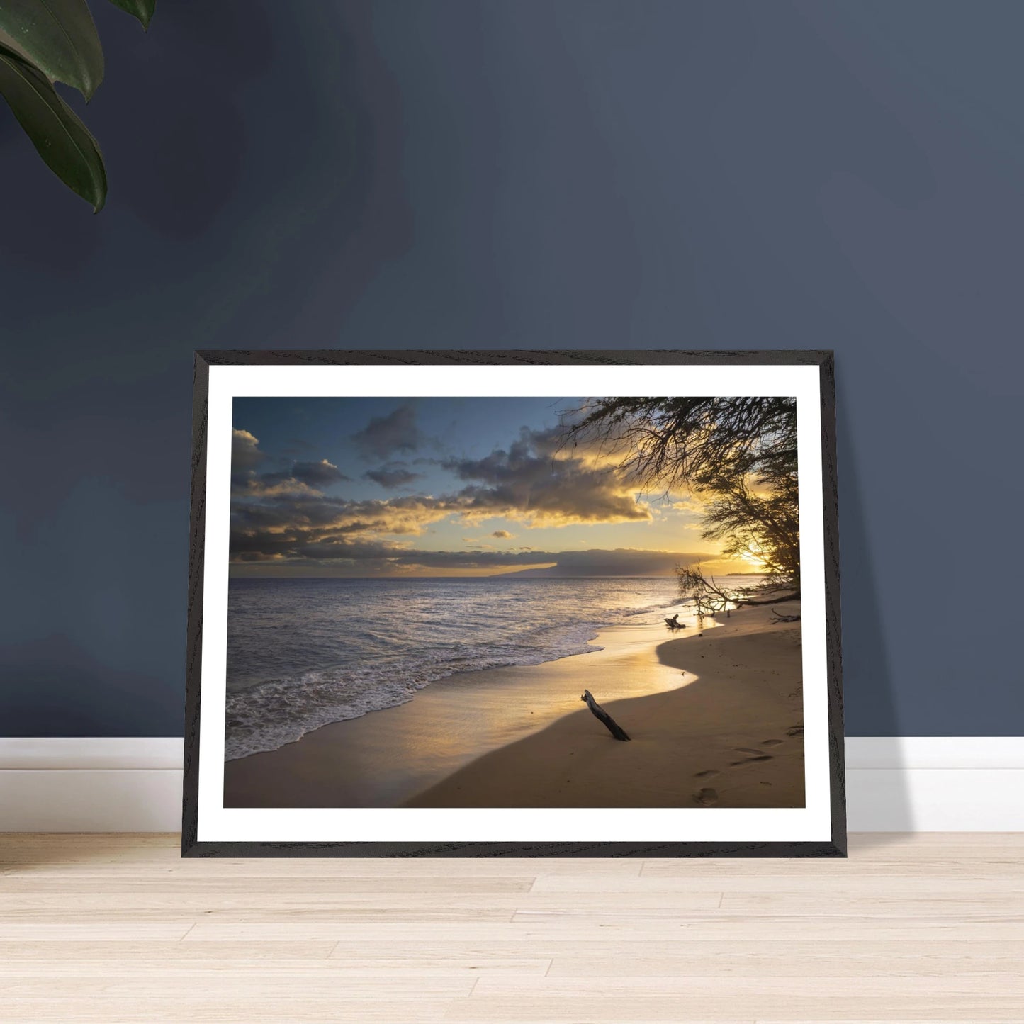 7a9887af-6e50-4ae0-ac0e-7f9b2d6de284