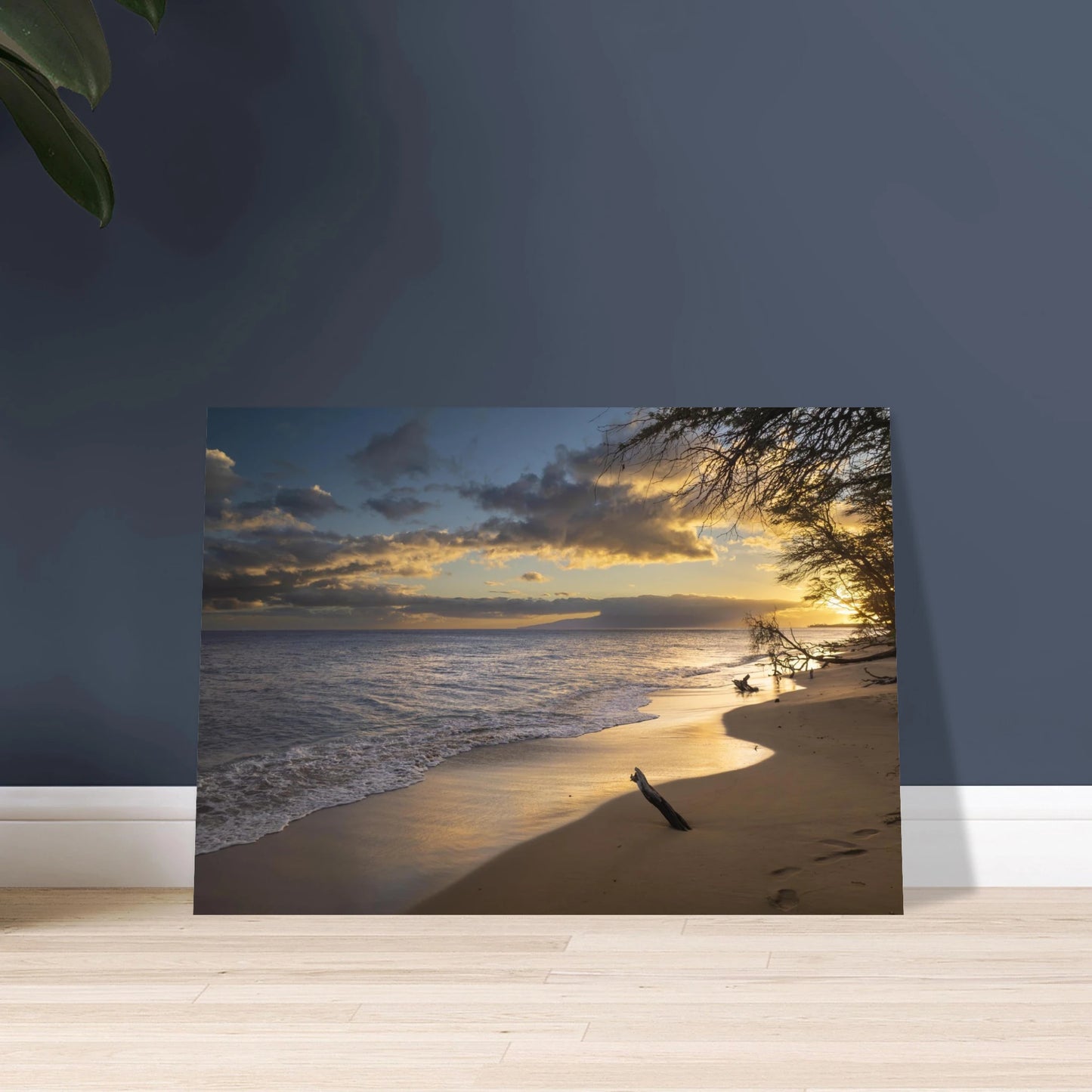 7b07b743-8c95-4cc4-a59d-c805e9dcd6bc