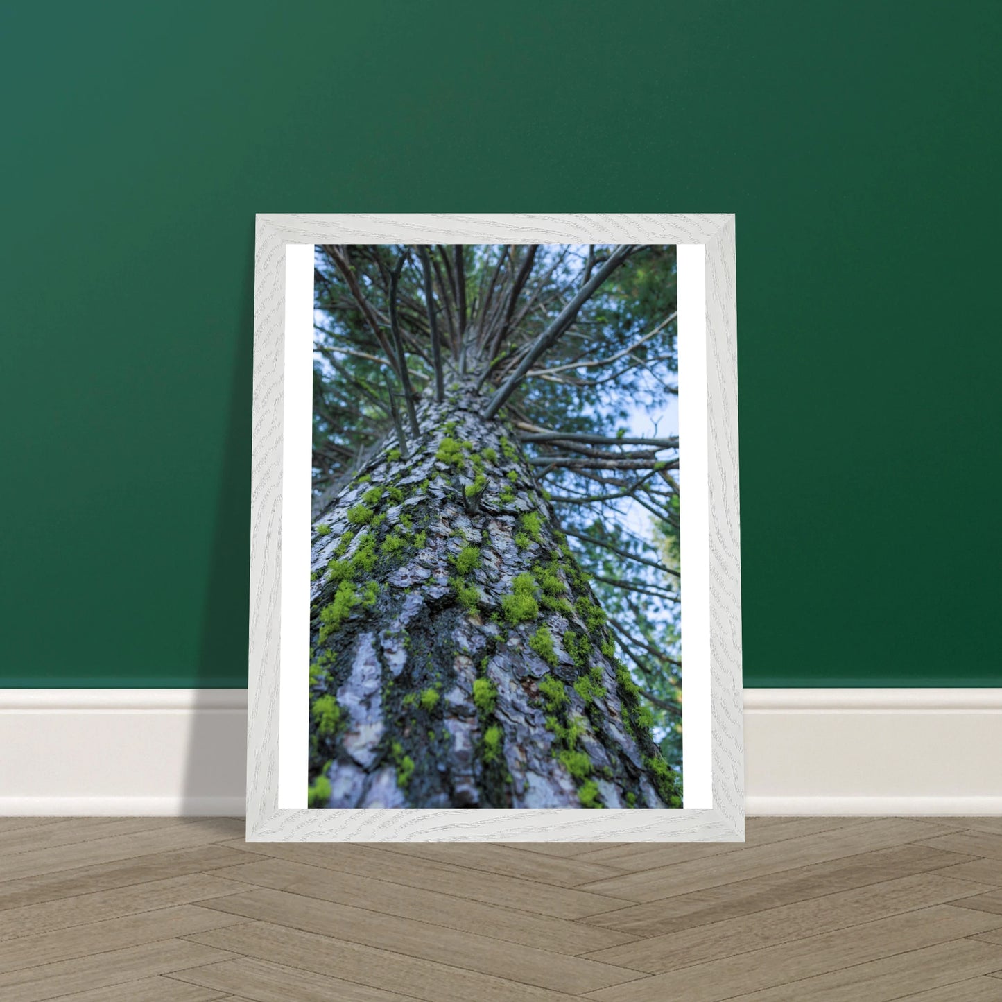 7b1f5f58-7f9c-4661-96f4-0af07c4aaa03