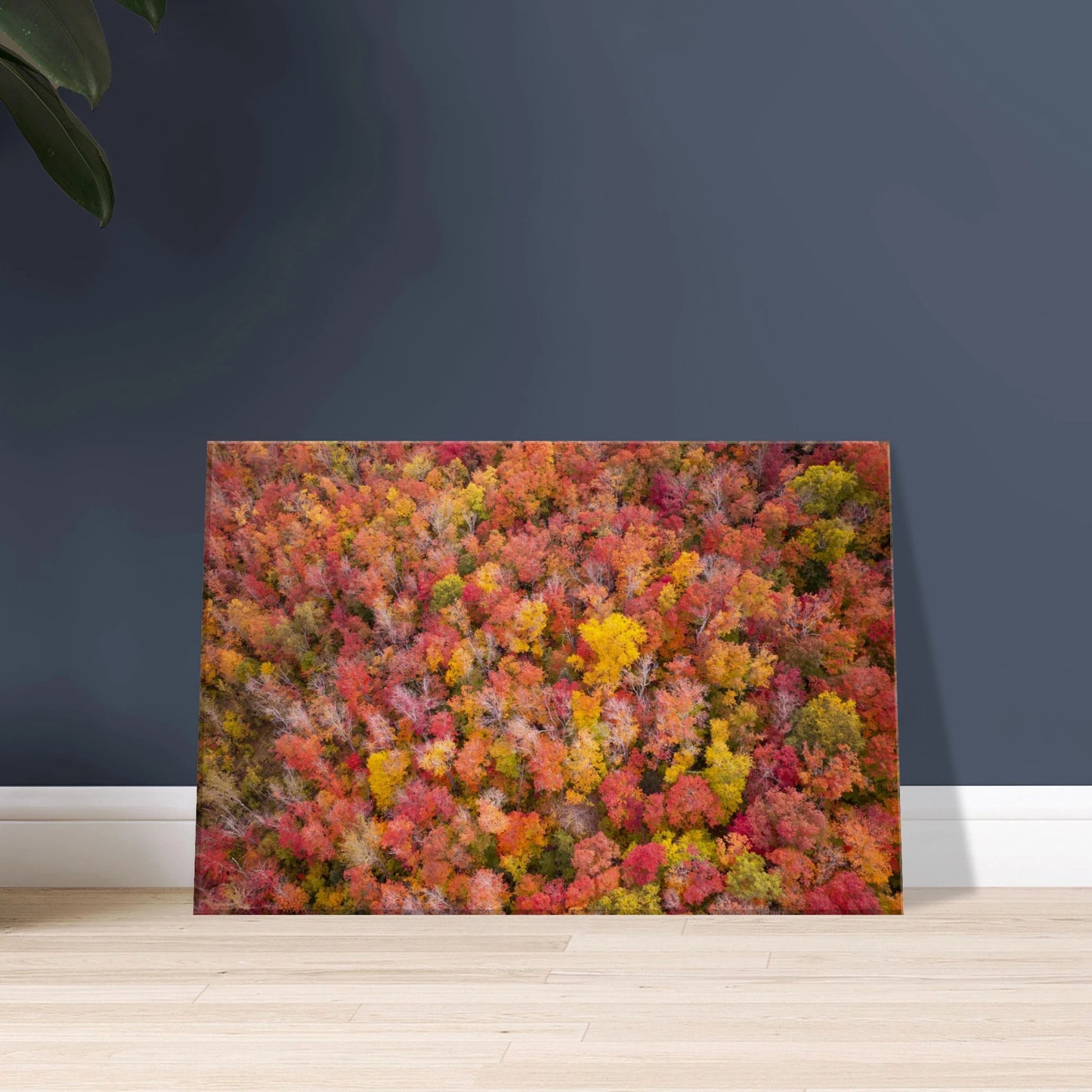 7bde69f5-f930-49d1-b879-8125c5a32a1a