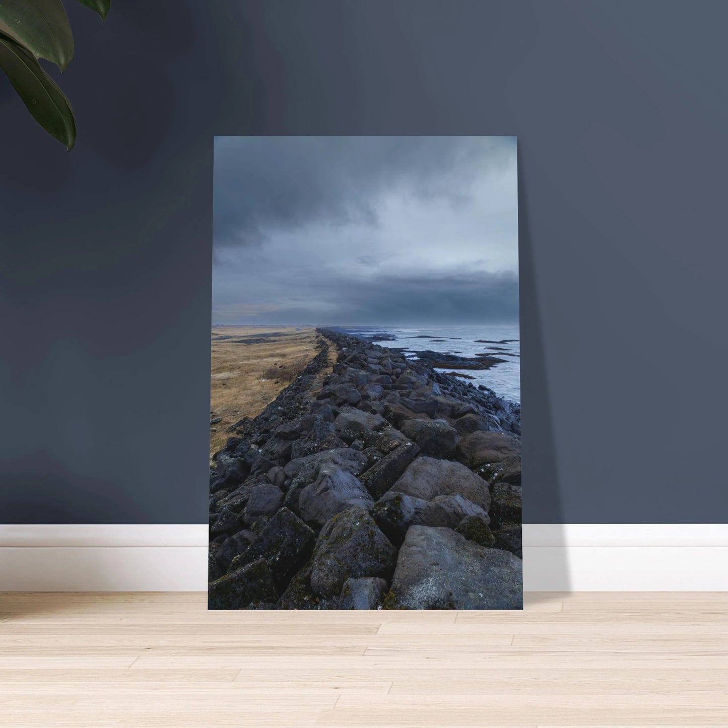 7be01b29-6995-4feb-8df8-cf62cce92a5e