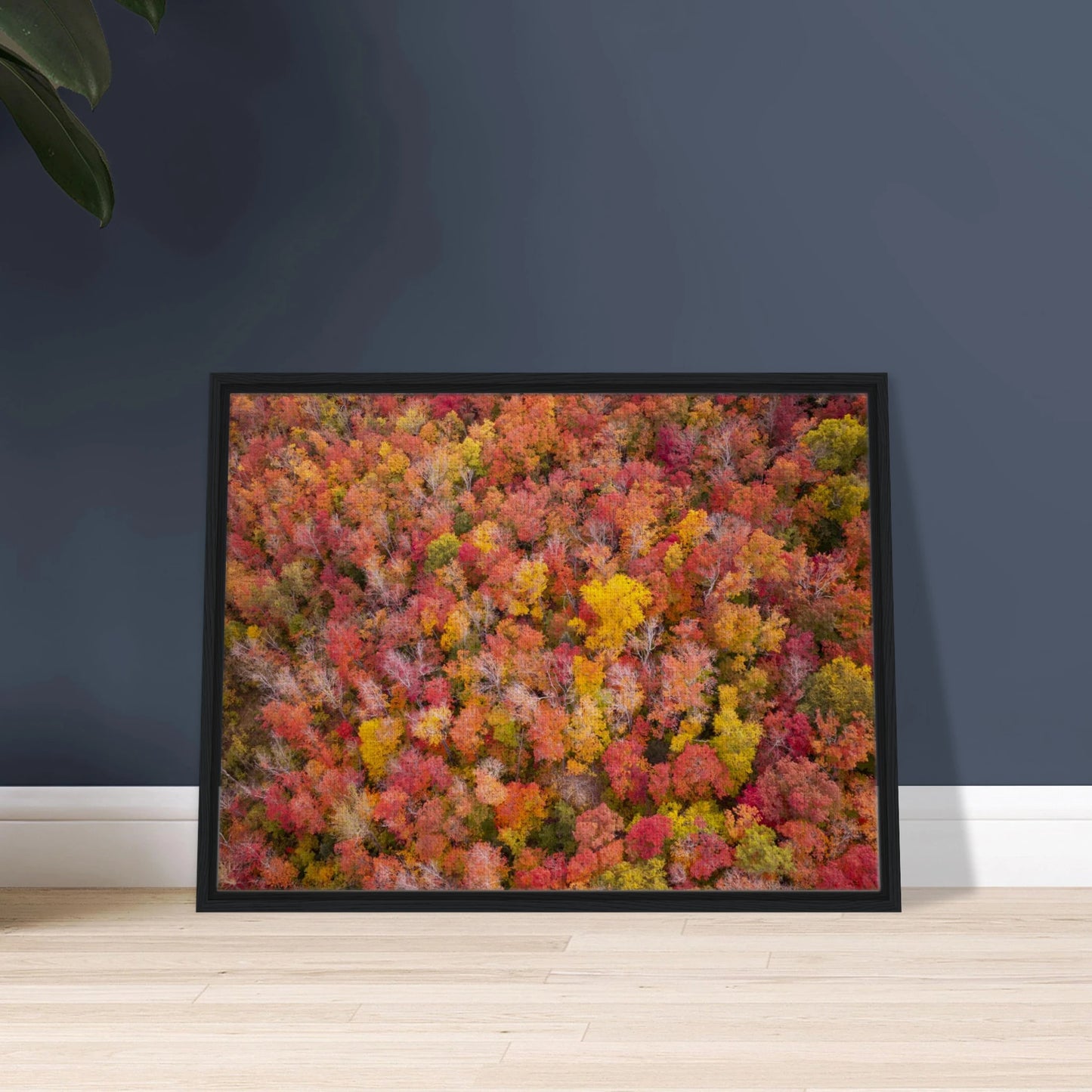 7c17f7c7-2bf4-4f13-977e-b1e36d39010d