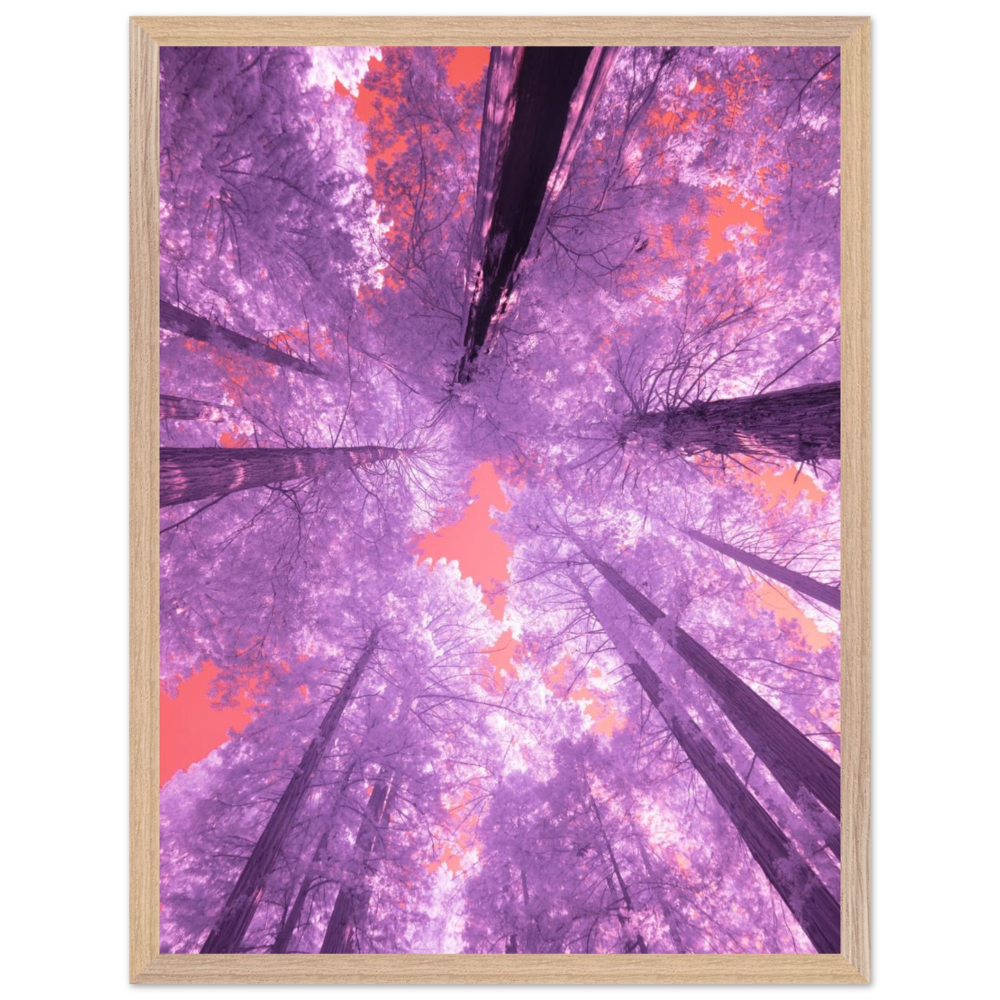 7c26c043-e103-48b4-9e81-7021e94fd20a