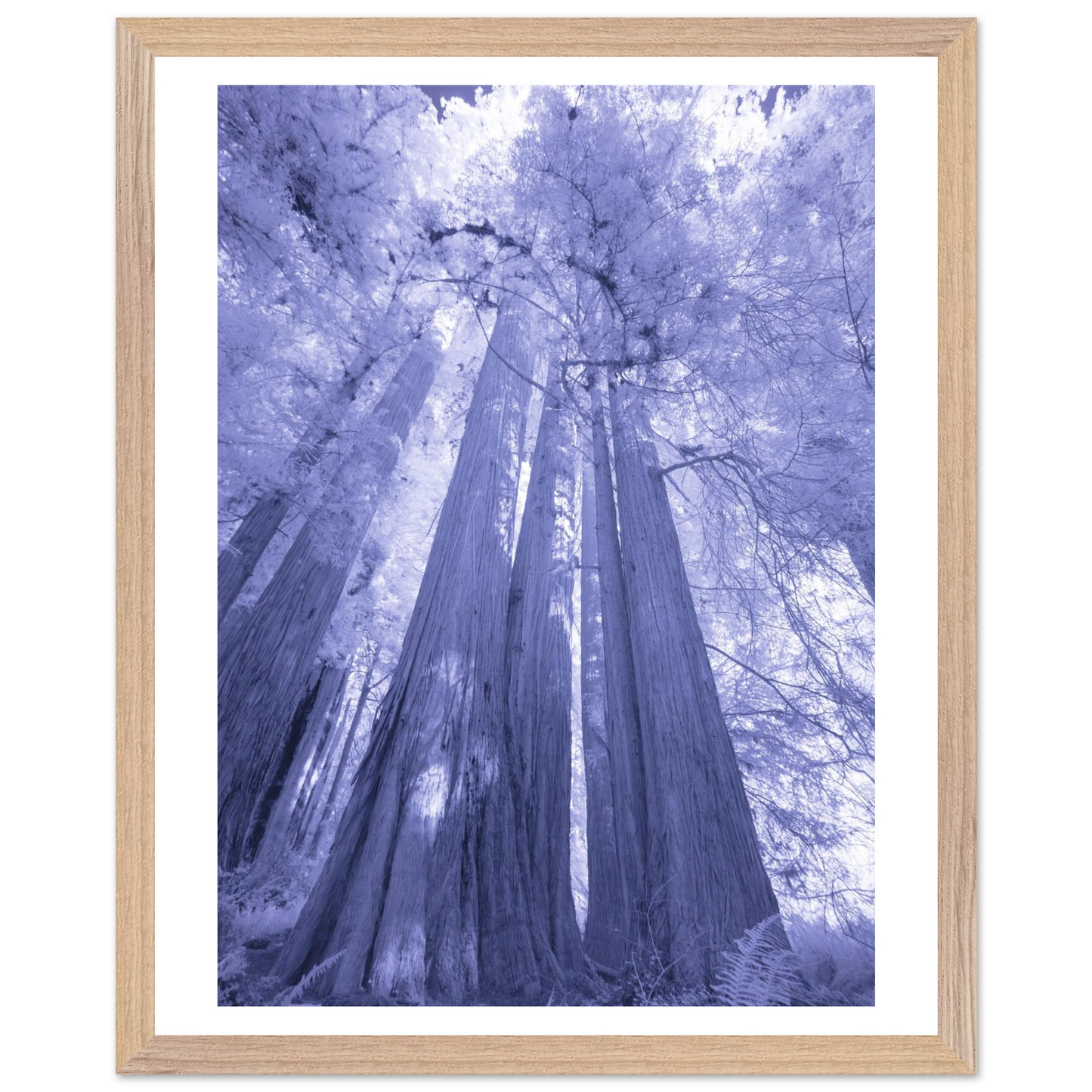 7e8ce2d3-f815-4a7c-93ec-58ed190bc4f0
