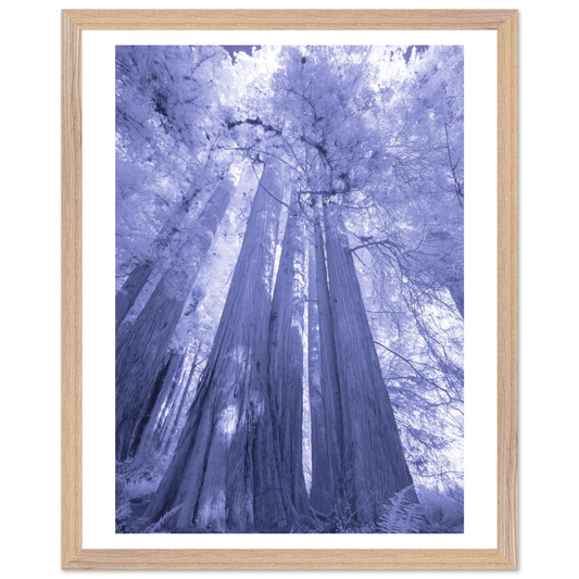 7e8ce2d3-f815-4a7c-93ec-58ed190bc4f0