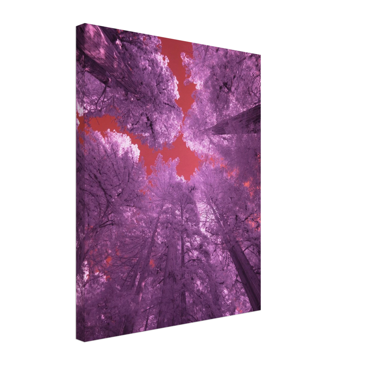 7f5549c7-b263-45ad-b6a0-a842a7b886be