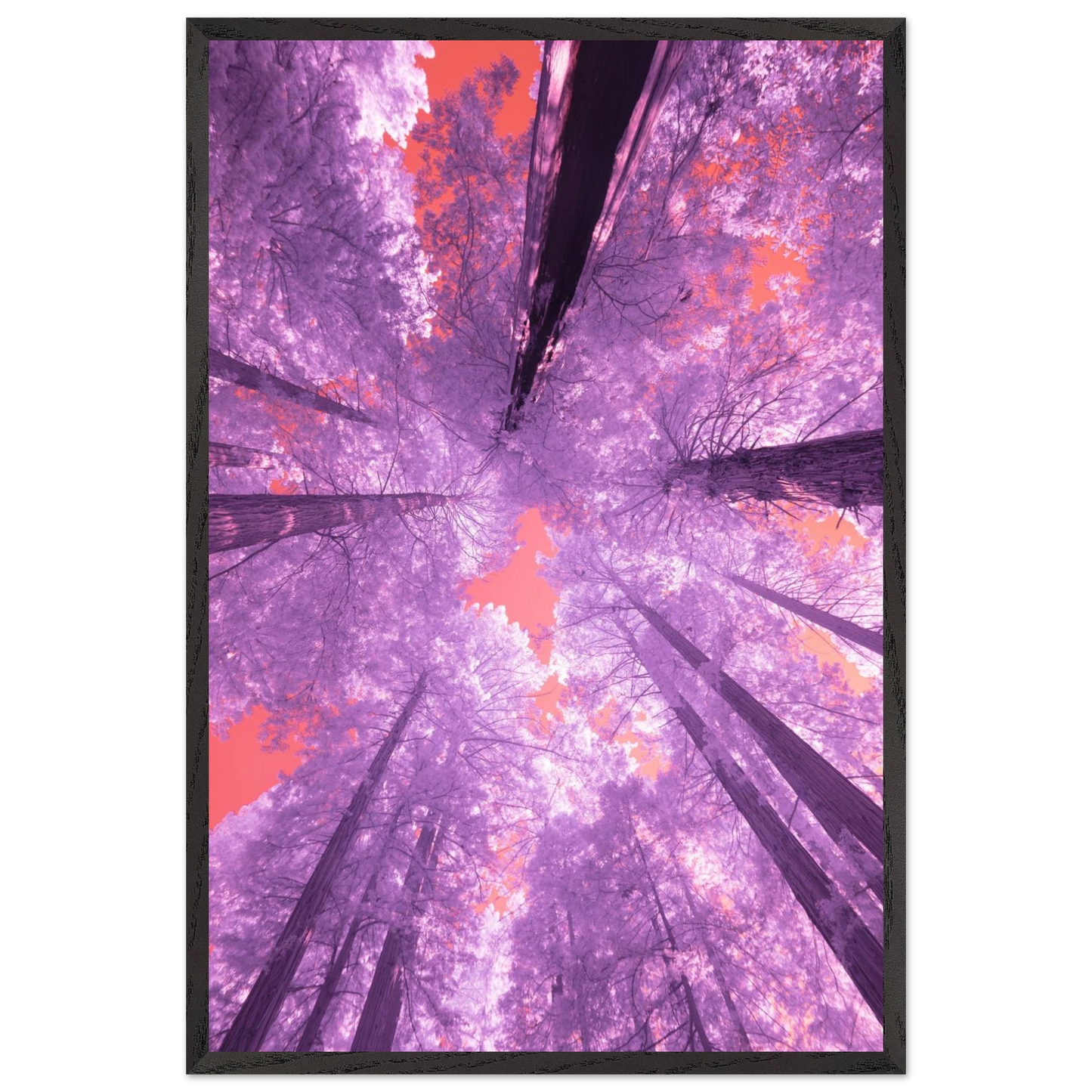 7f903031-f987-4d53-9f3d-12c082dccf79