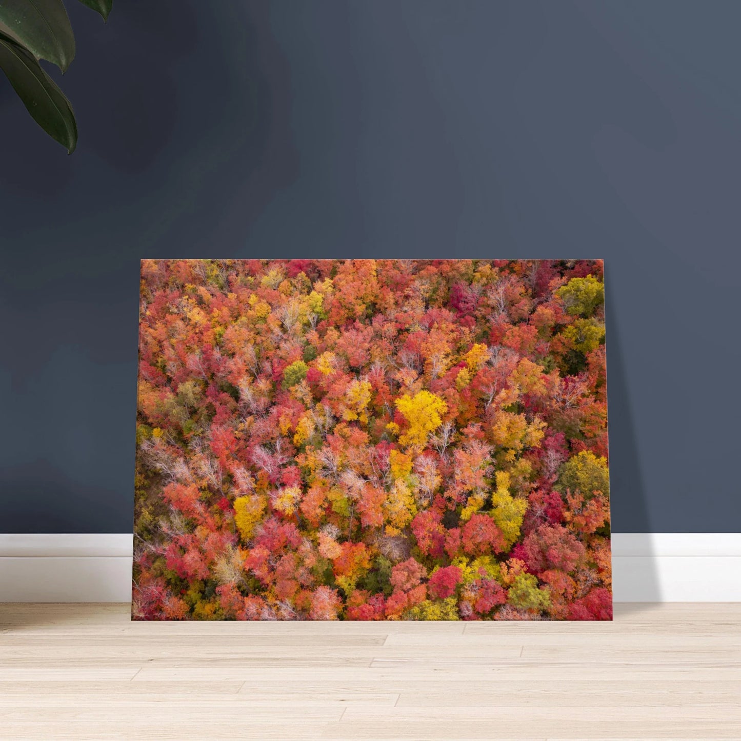 7fe4800a-6513-42f9-be6a-9c5ae1c4b9cb