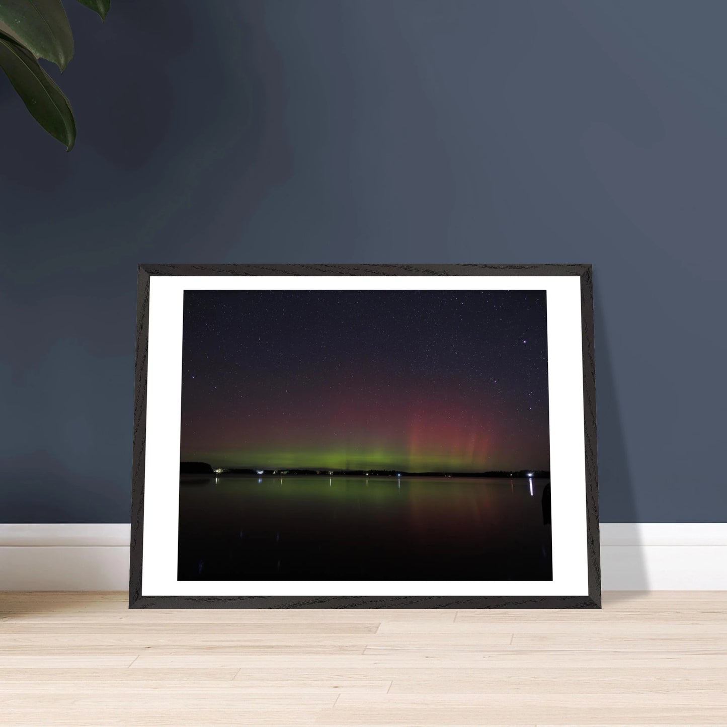 801ffb69-f062-4c4b-9126-4b9e8cbbad33