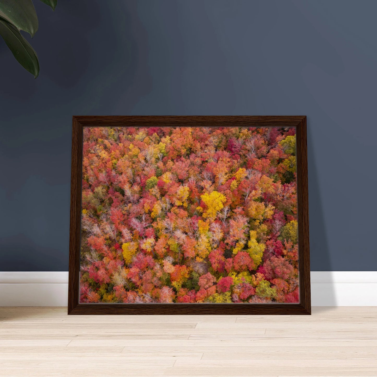 81e21770-88fa-4758-a2e4-ee017b1b494c