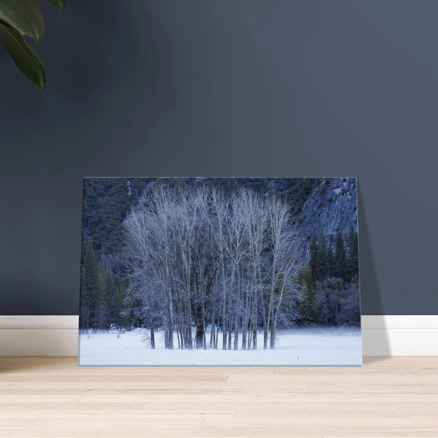 85a57ab1-be35-48ab-9dbe-b6531d7b6aaf