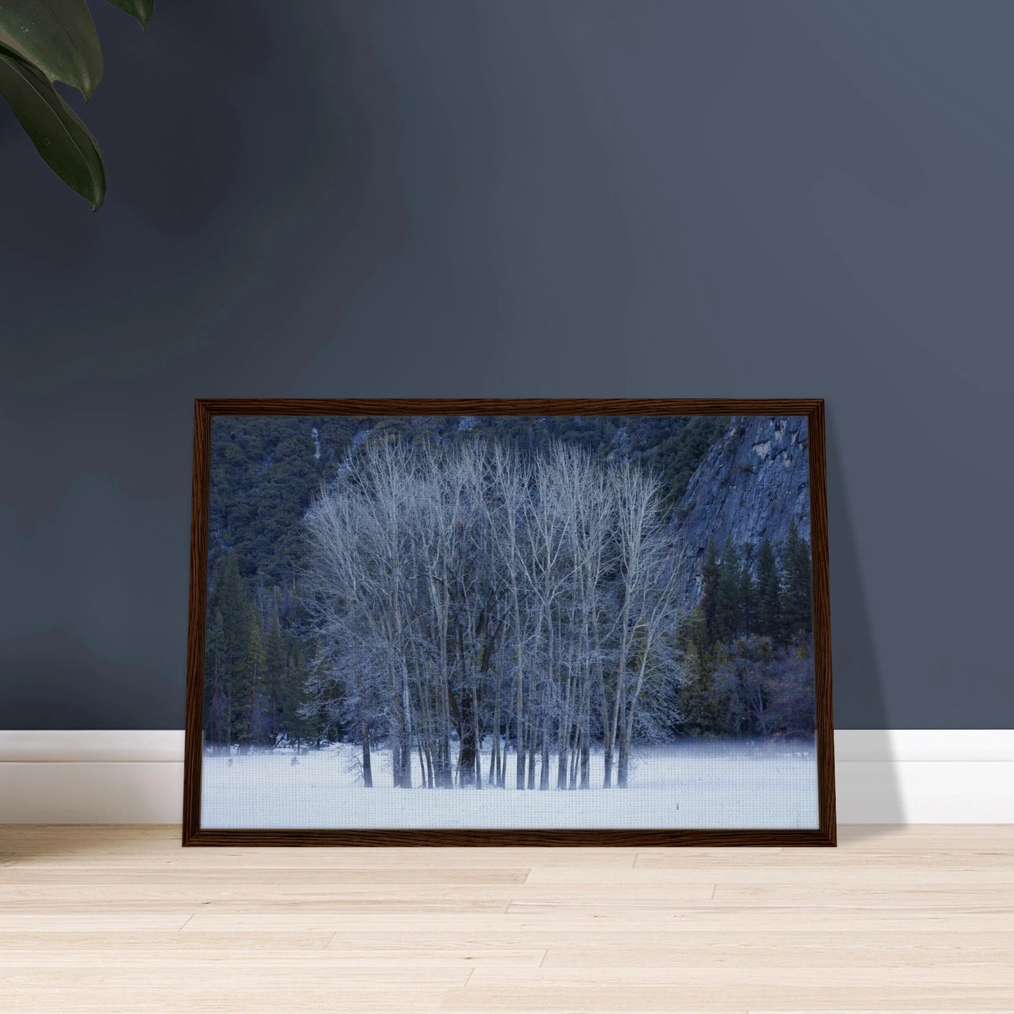 866e7a9f-77b6-4354-b173-c1966b48976a