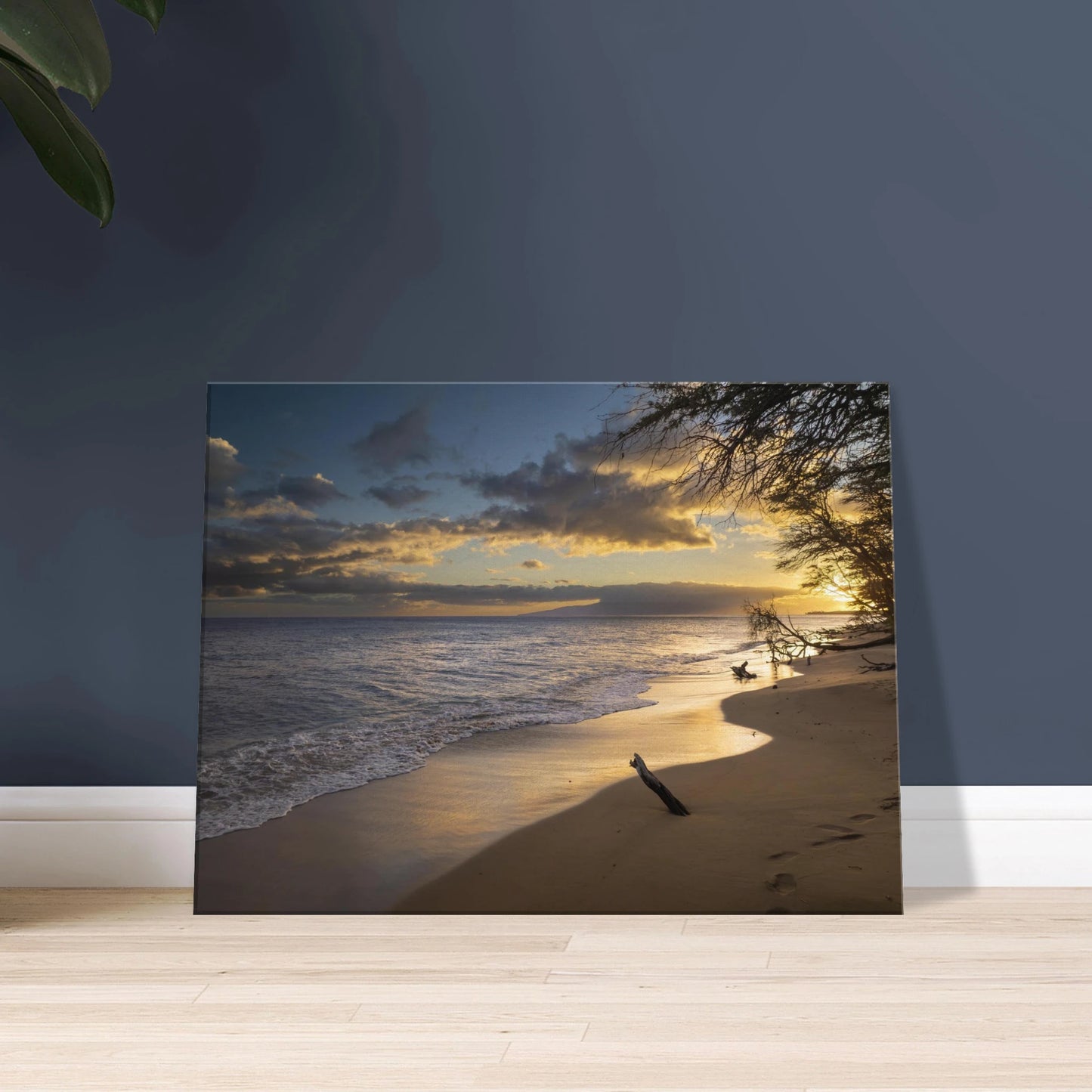 8686fd7d-648b-4e03-87eb-3dec9bc643e4