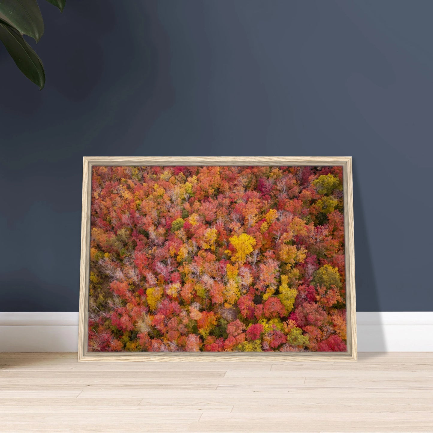 887ff5b7-9df6-46b4-84ba-8e6dd52a5865