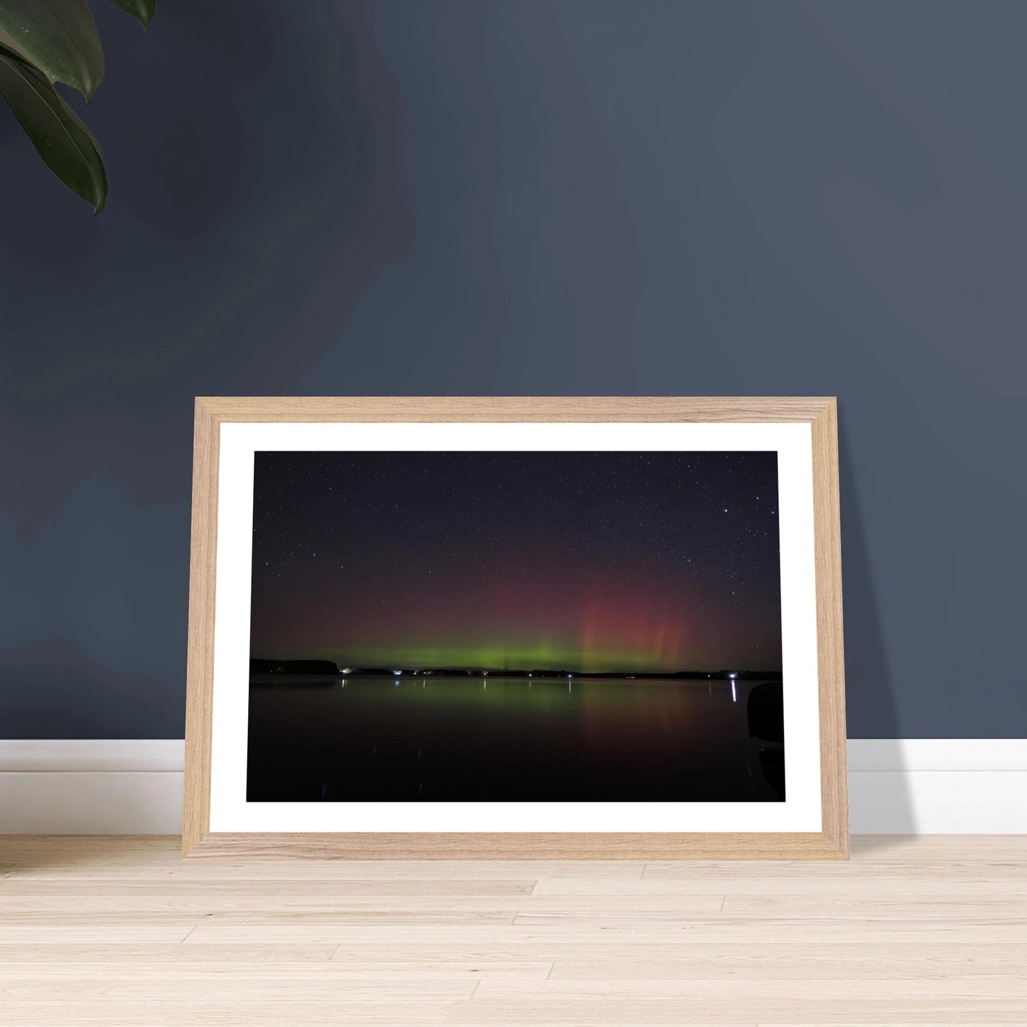 88f30b0a-f6f2-4916-b753-6b954c5b96d5