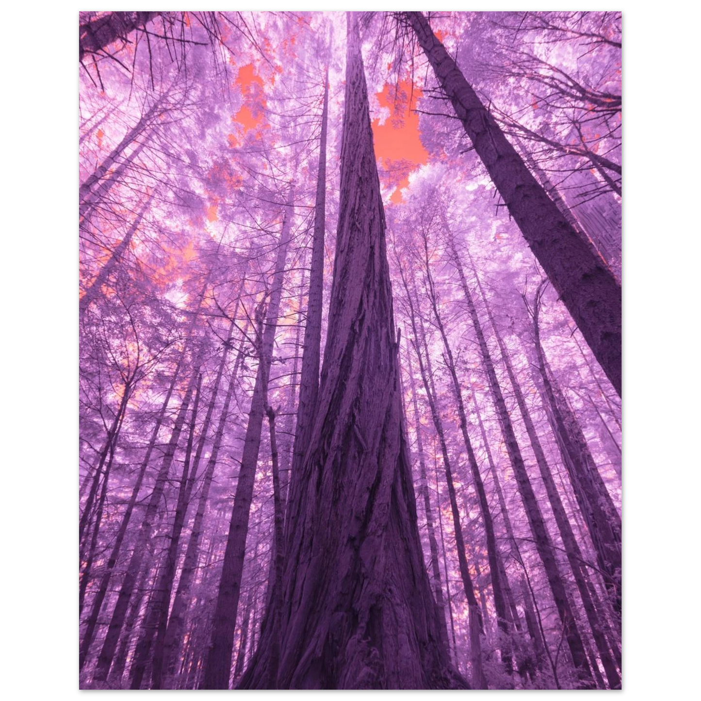 8b3af3c0-a093-4298-9e2e-f97d6761e3d2
