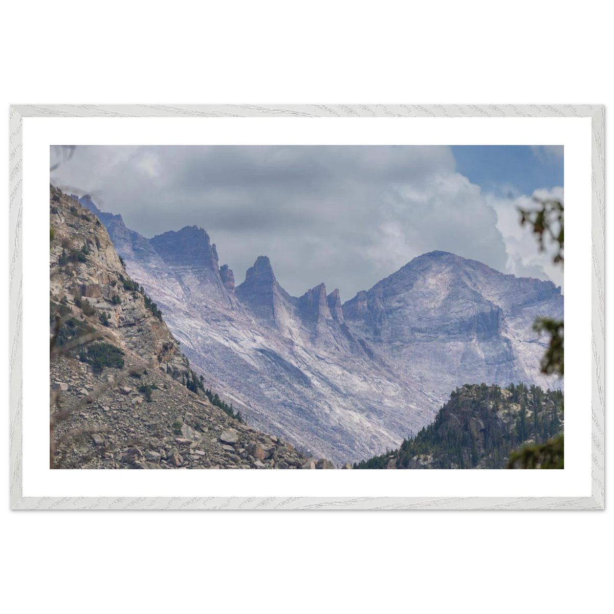 Infrared Redwoods — Dawn Sentinel — framed or canvas wall art preview