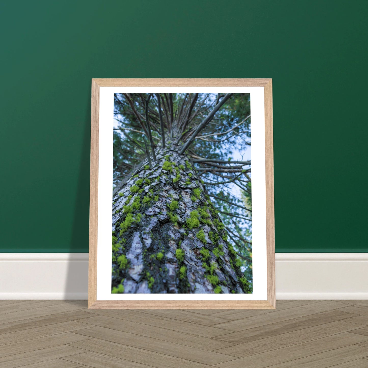 8bf14e49-b6d5-4a88-8166-7af7e1e10958