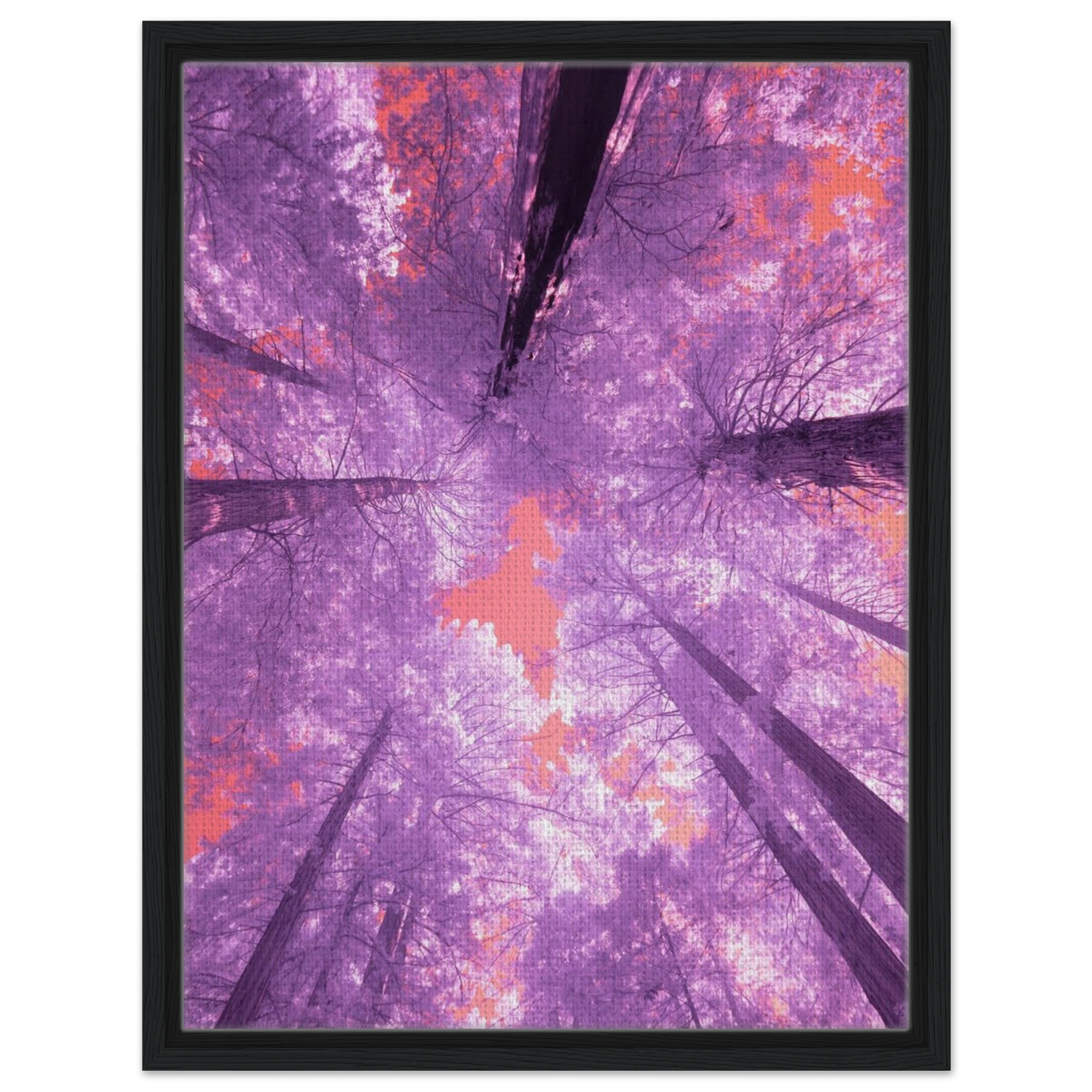 8d40f510-ce6a-435e-b21f-78dce0579042