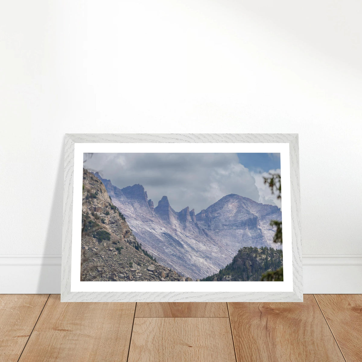 Infrared Redwoods — Dawn Sentinel — framed or canvas wall art preview