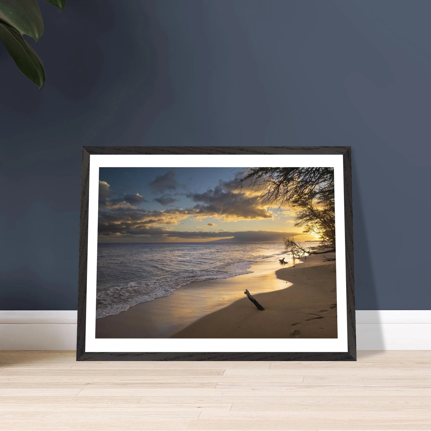 8ed4bd44-407f-48a3-9bcf-688a38e288b7