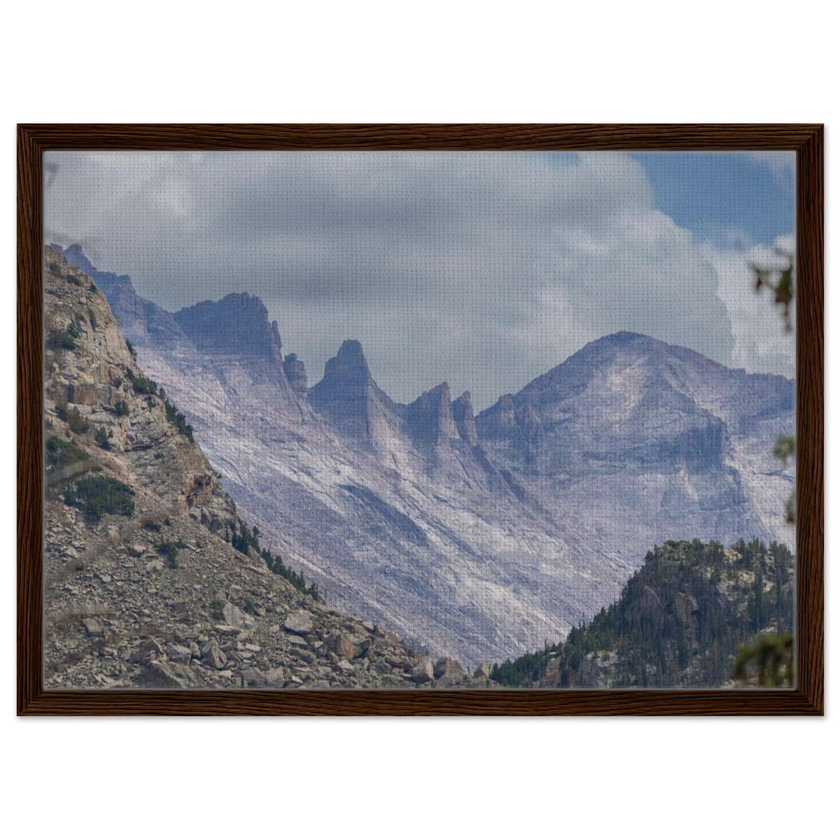Infrared Redwoods — Dawn Sentinel — framed or canvas wall art preview