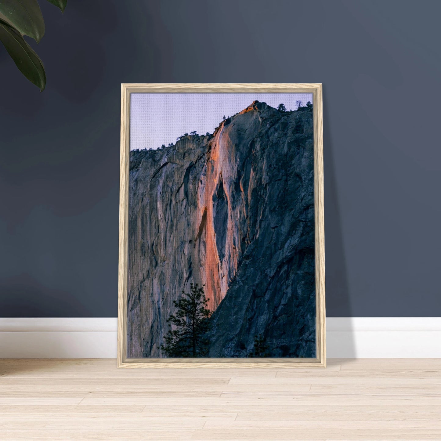 903dff95-d320-4ff6-903a-b58d42a58cfa