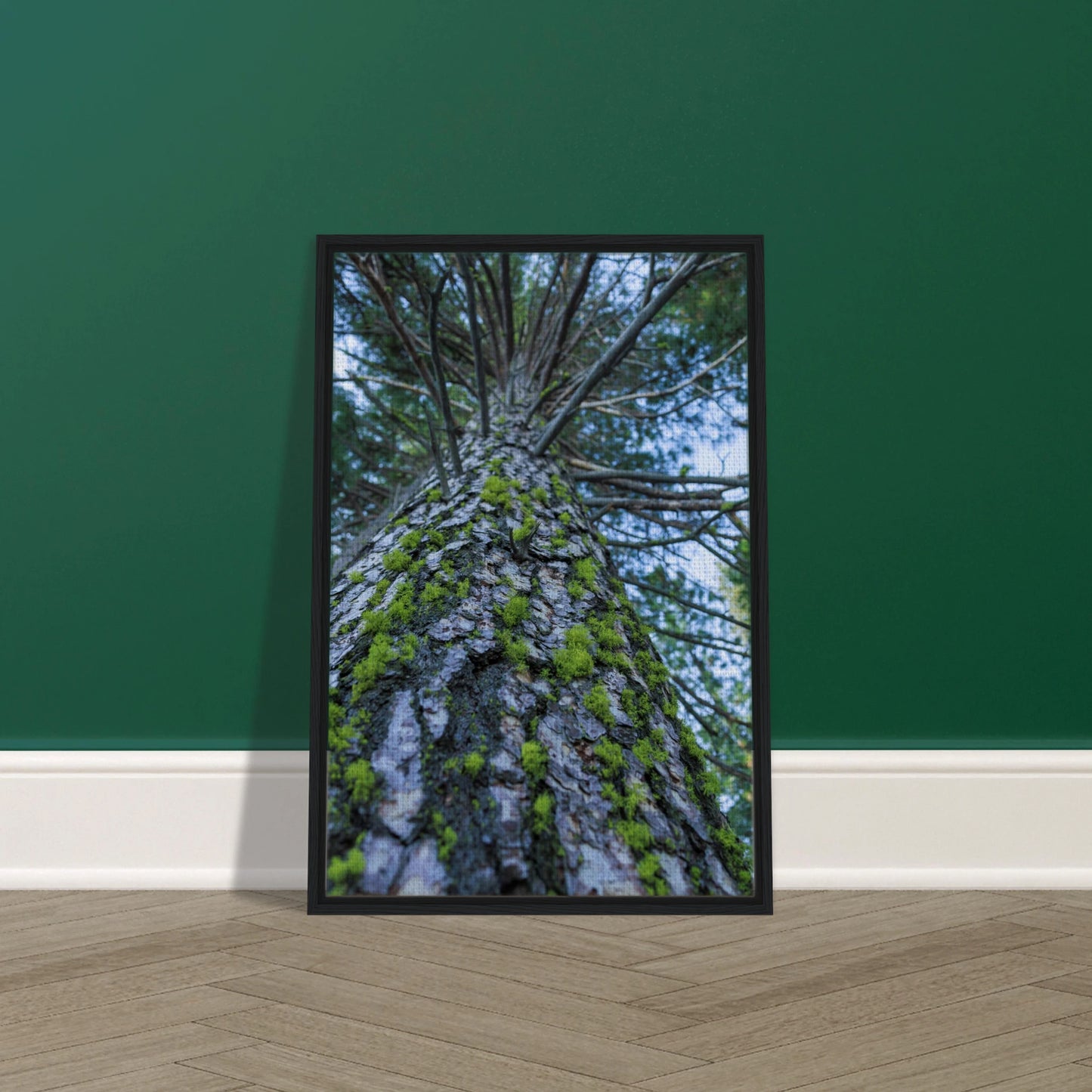 90ea6b46-c0f1-4bb3-9c08-c119c967086a