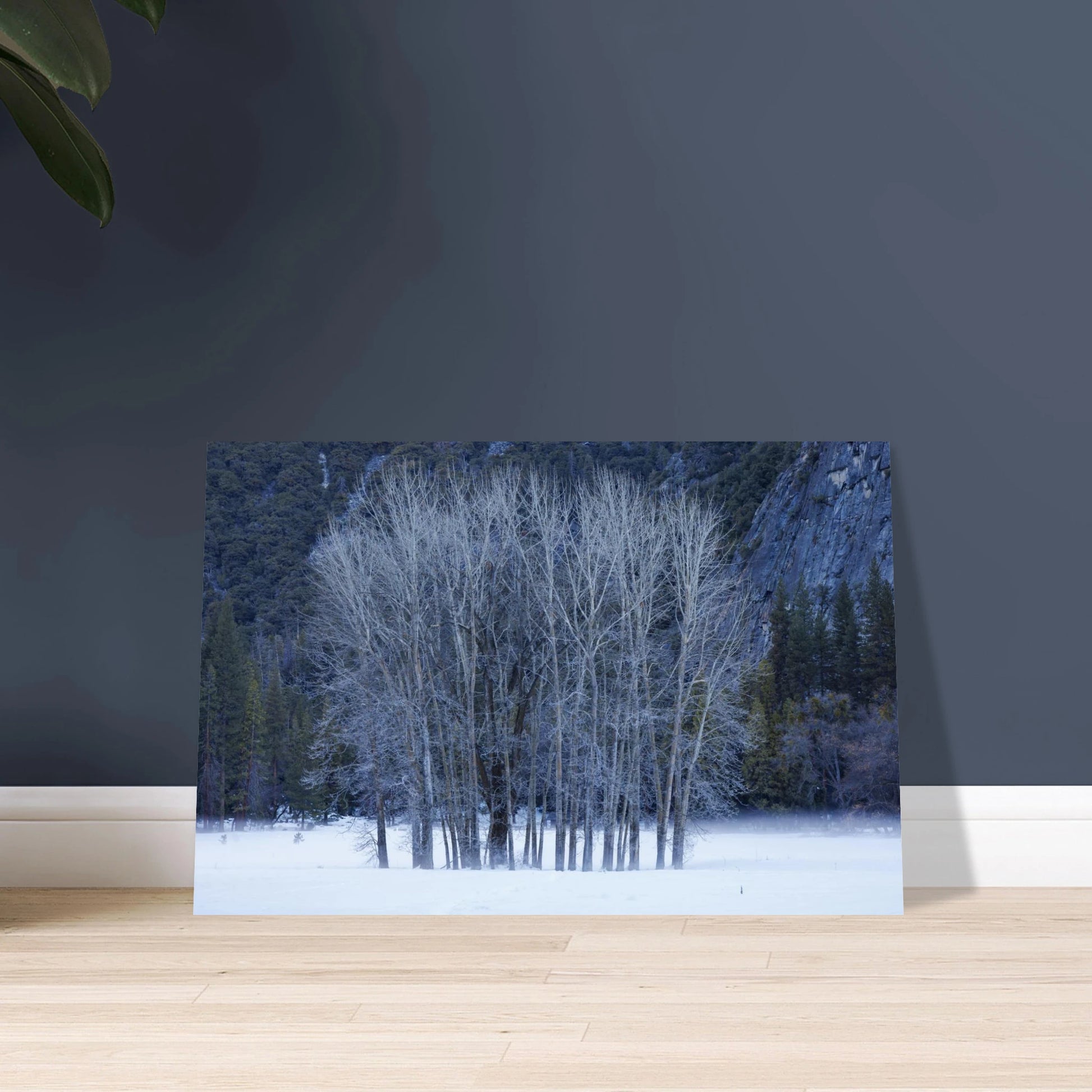 90f70bfa-4222-4400-b2b0-eed3039f052a