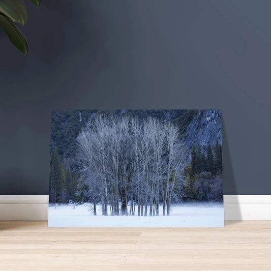 90f70bfa-4222-4400-b2b0-eed3039f052a