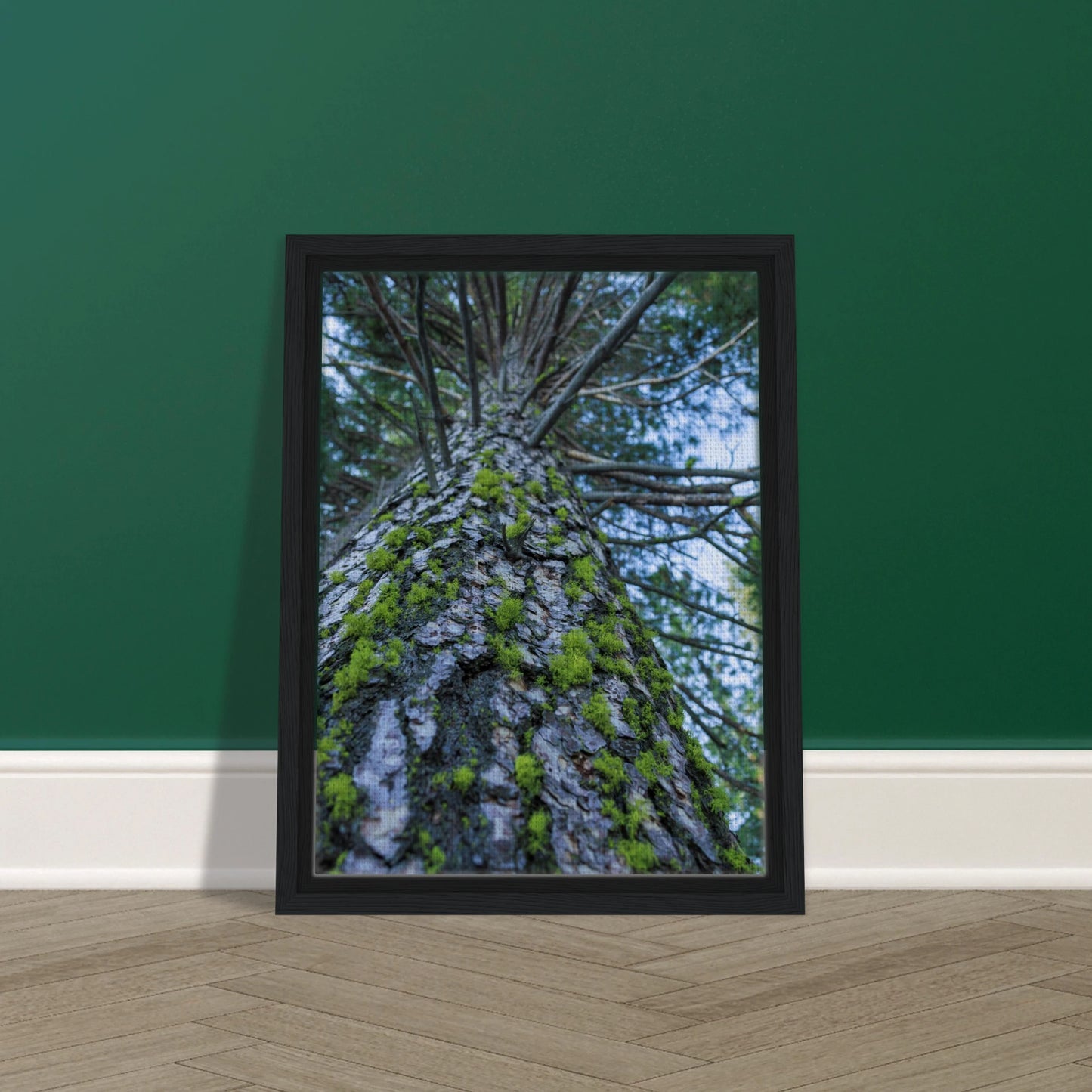 913c224b-ff44-46d0-89fd-8b6632273edd