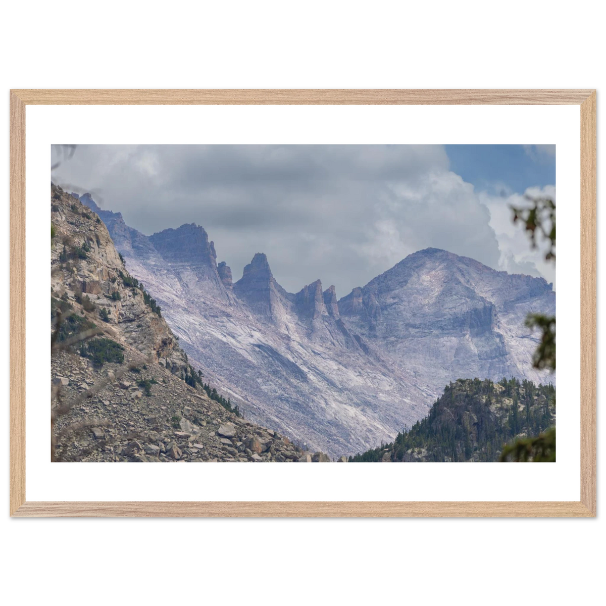 Infrared Redwoods — Dawn Sentinel — framed or canvas wall art preview