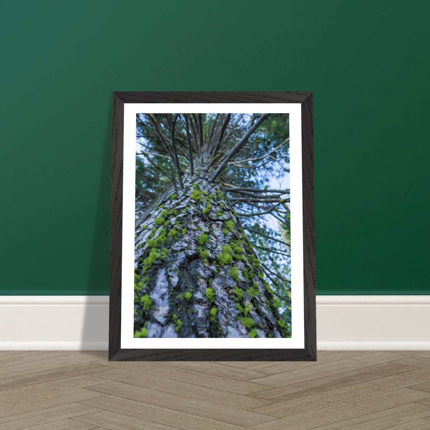 91fa83ef-1cb6-4d20-bd23-7b6fa9225964