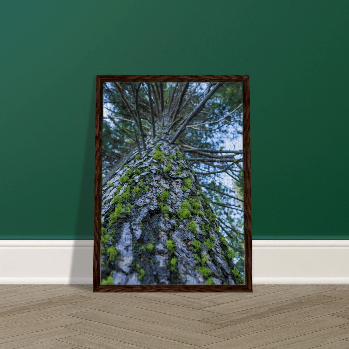 92ddcff8-a659-479c-bb64-e63cd1ea25db