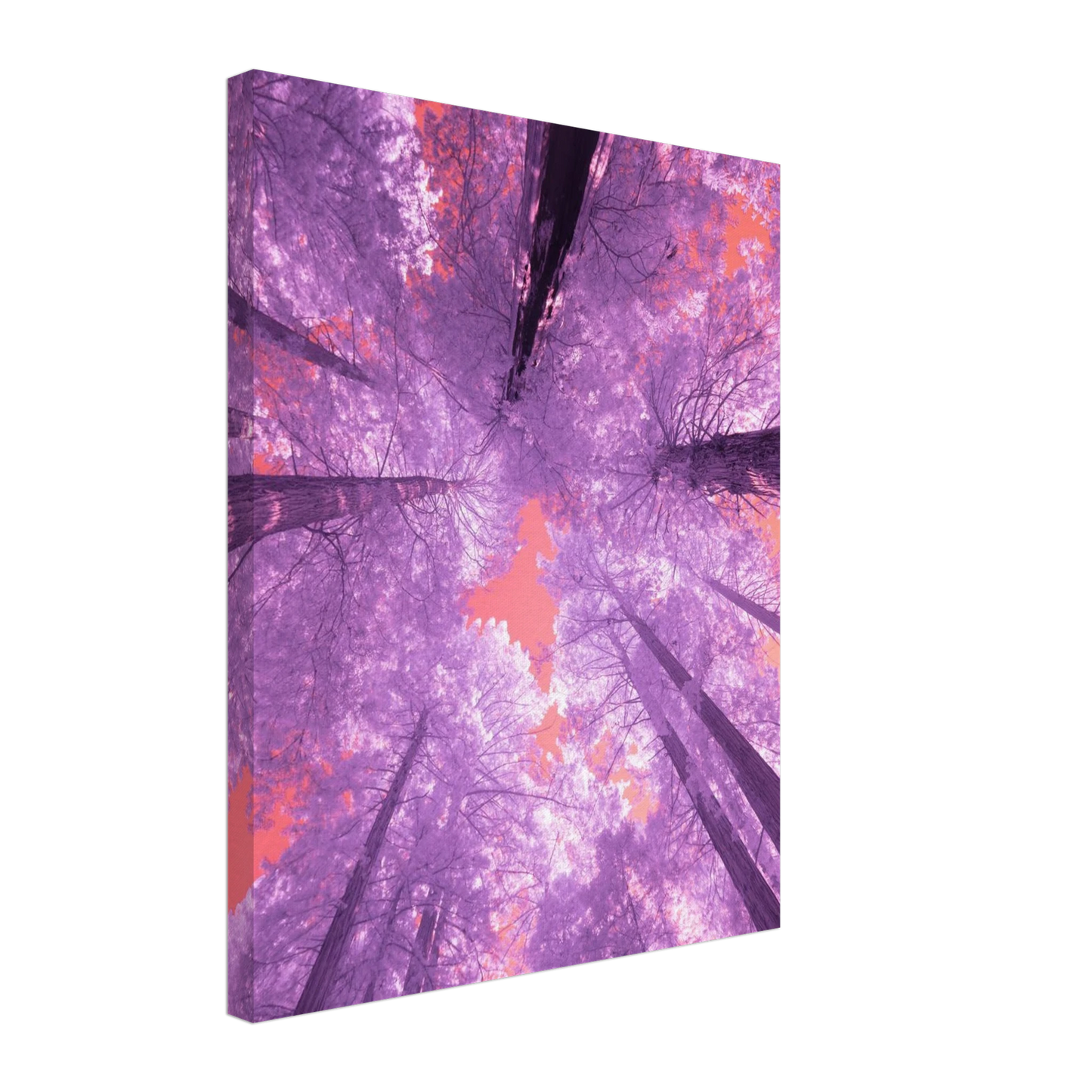 93d86ee1-95f2-47b9-8dc1-5a1f267832c3