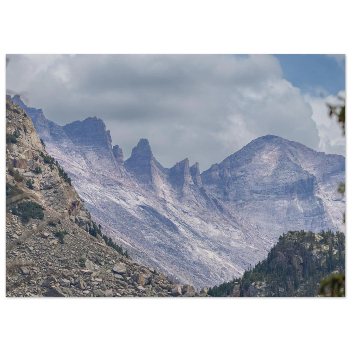Infrared Redwoods — Dawn Sentinel — framed or canvas wall art preview