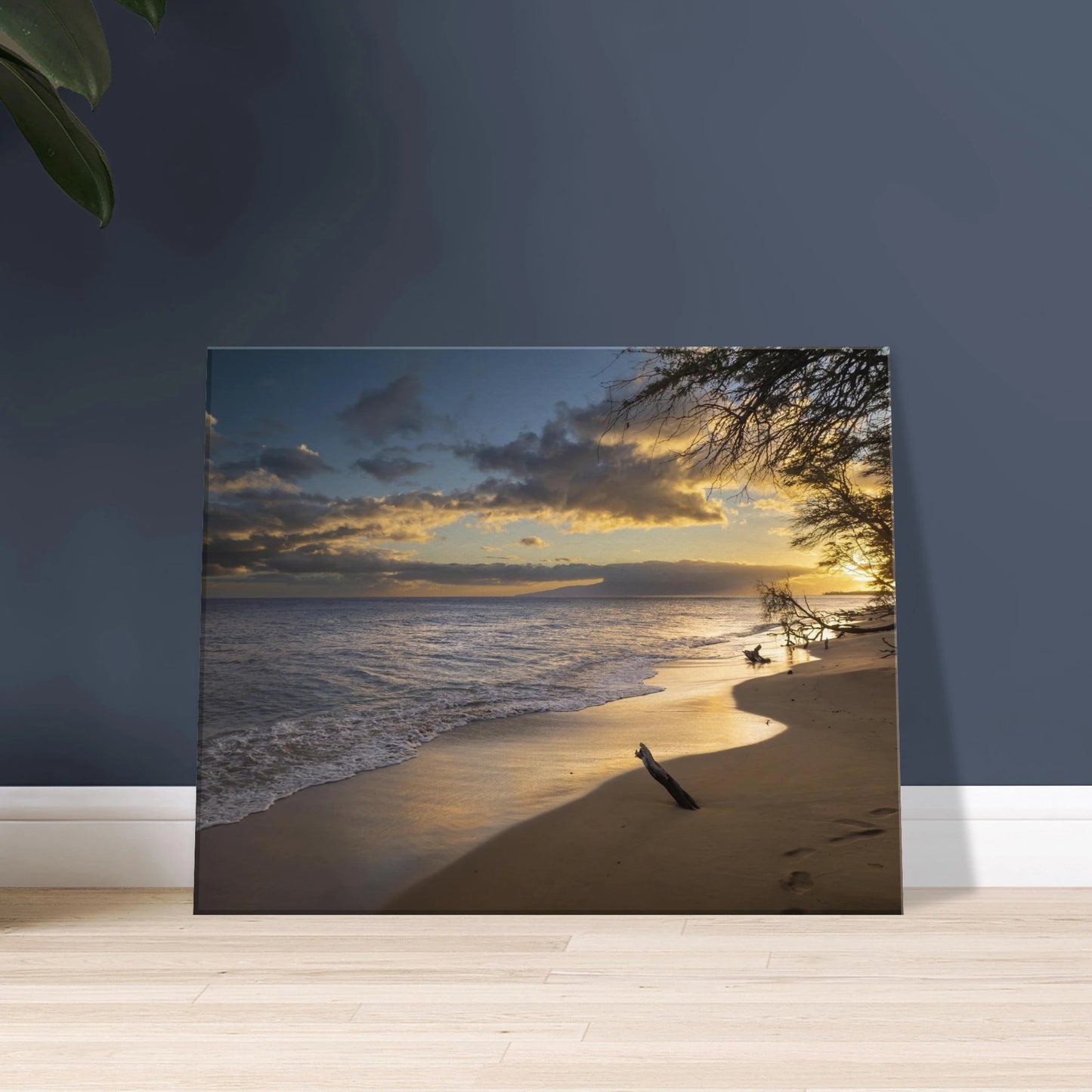 9760ab70-aaf1-44c1-a0d9-395b026c9c02