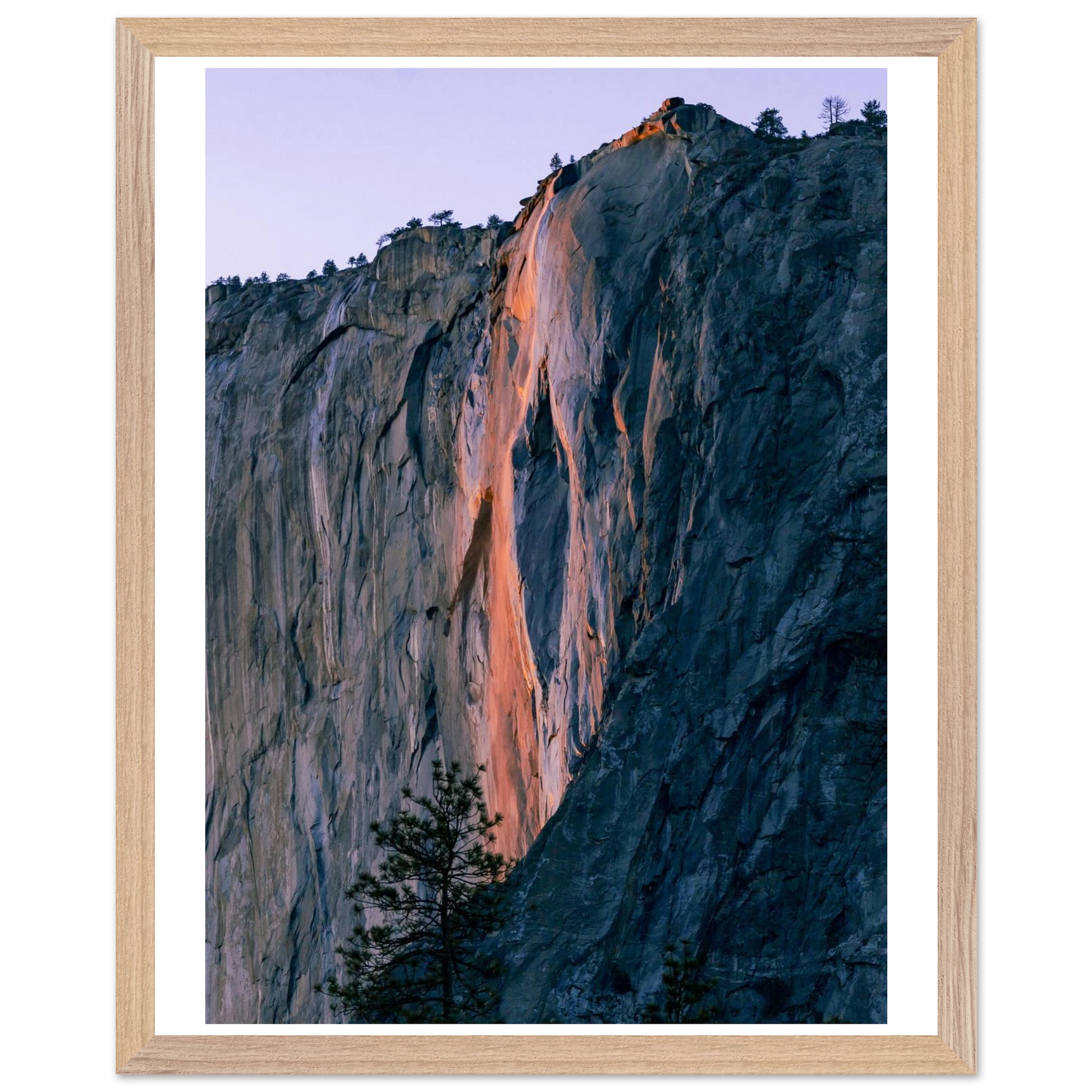 97f6be8b-a2e6-4cff-bbd7-999d2b00d394