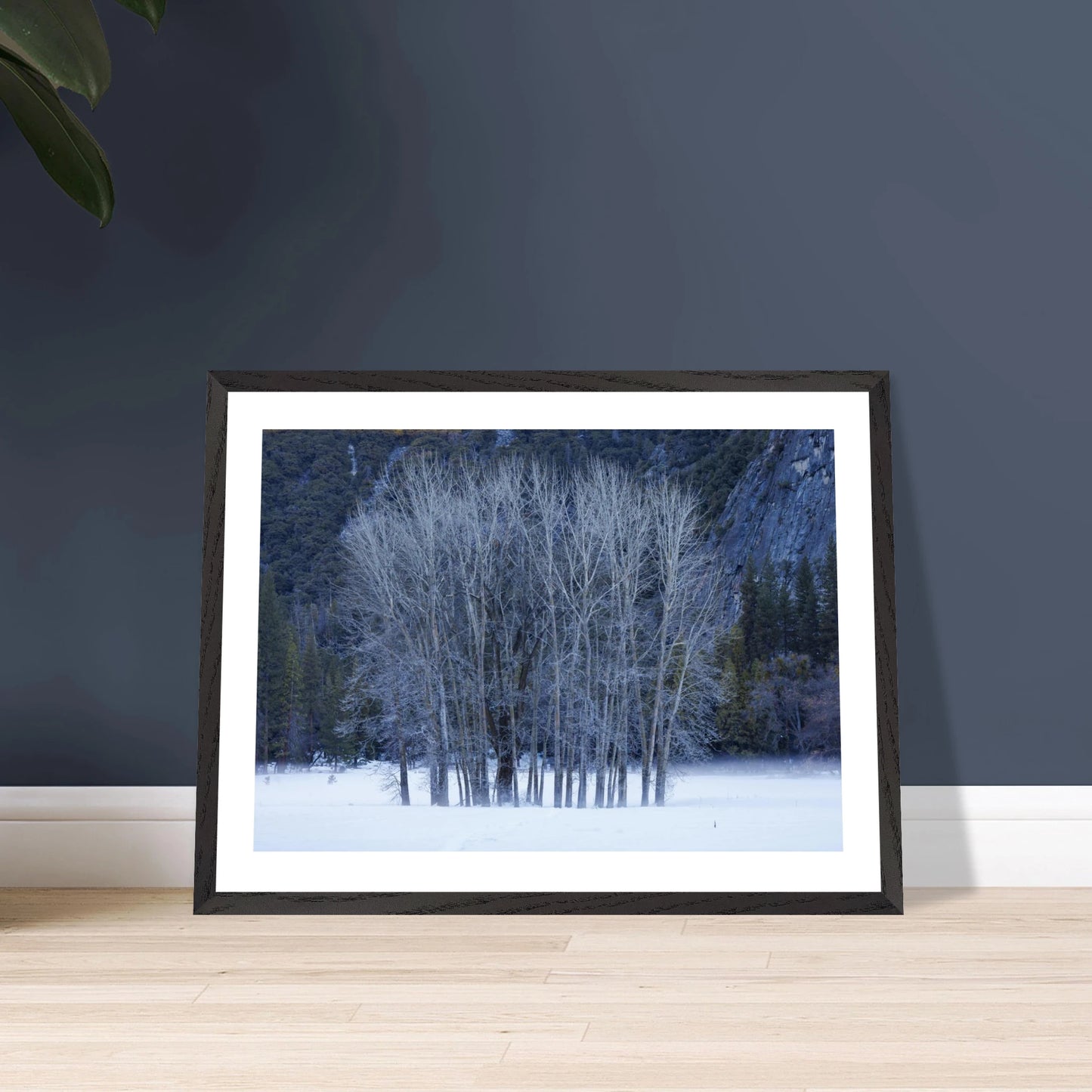 995c8d83-bb5c-4392-8019-a6df95fe7212