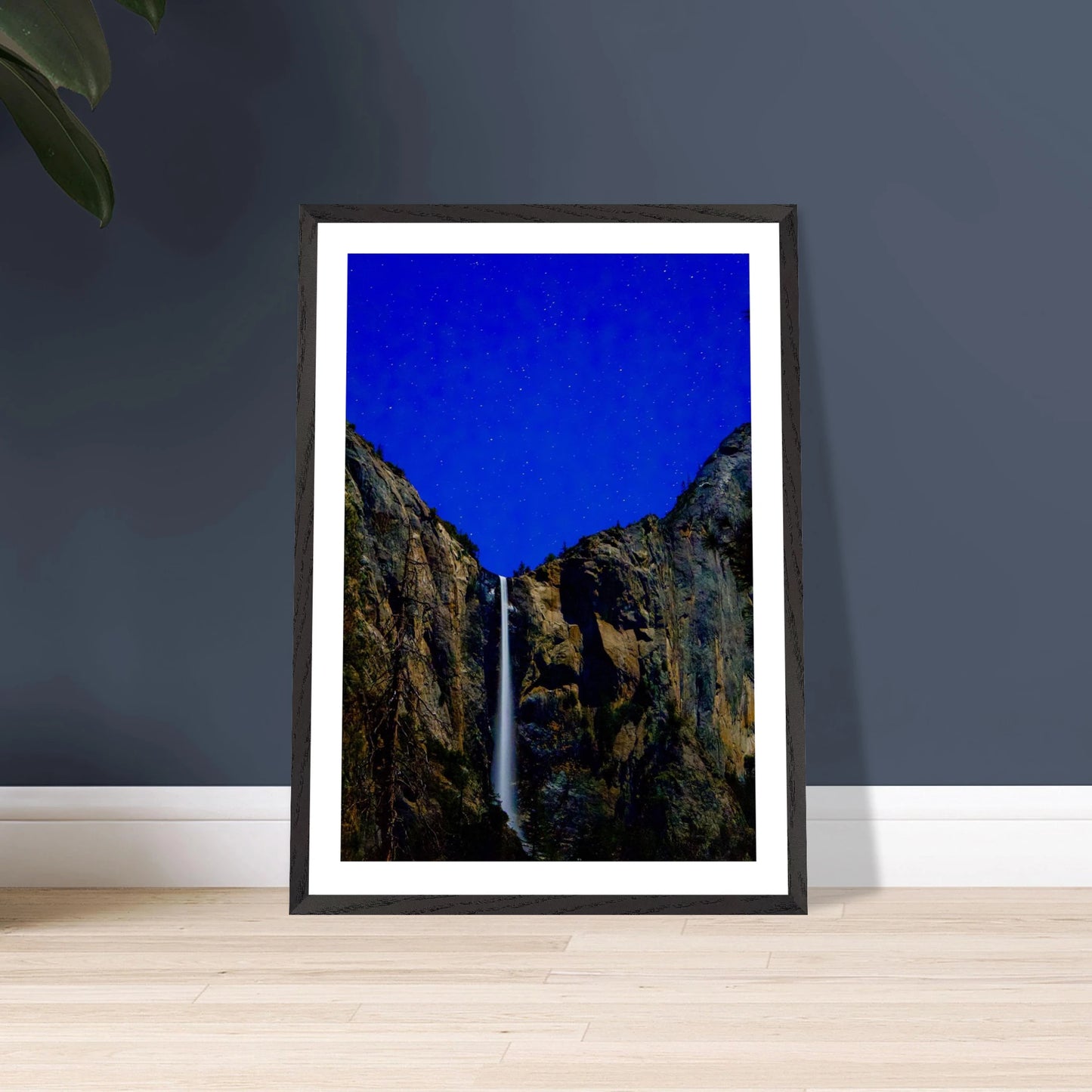 9a1b408d-3f07-42e5-967c-b97baad608a4