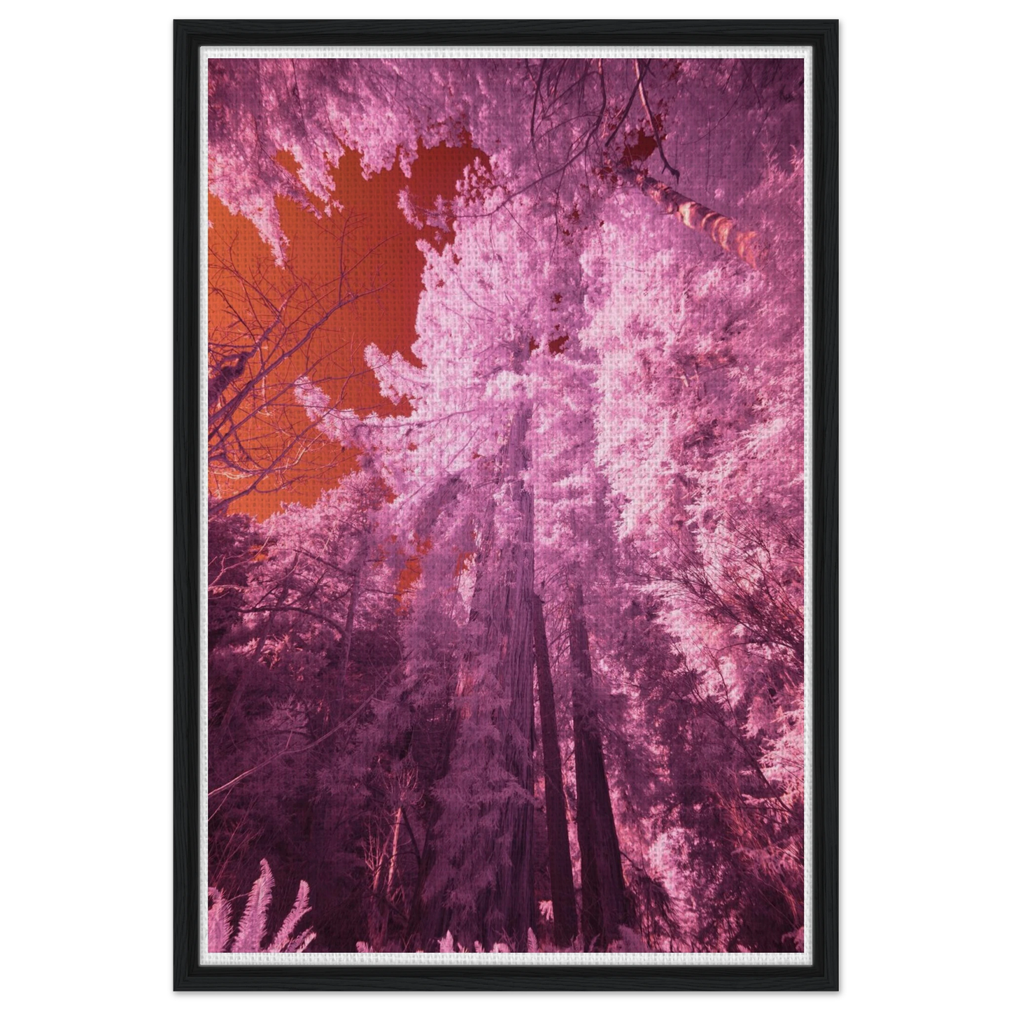 9b615118-1f51-418e-b705-0d6caffa692f