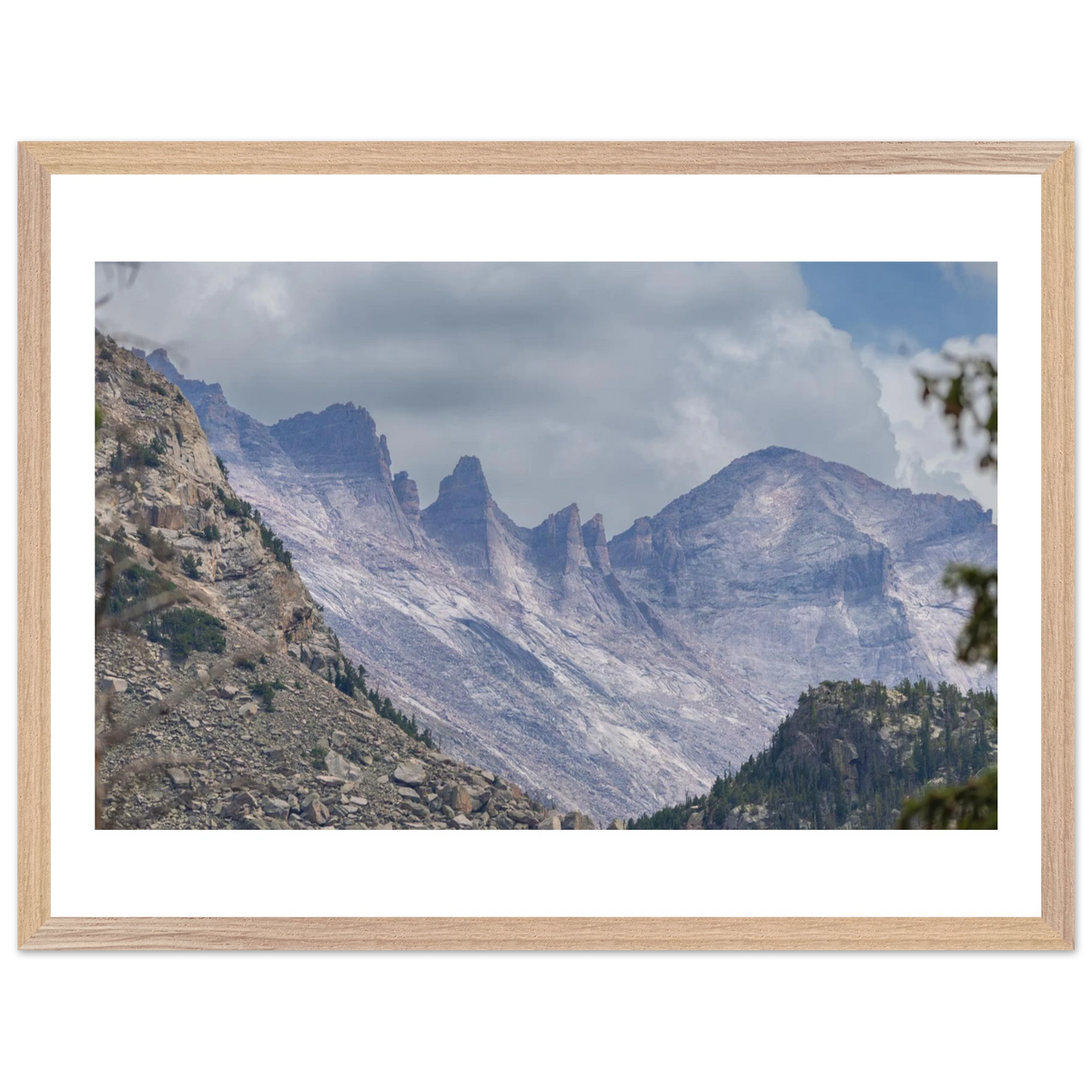 Infrared Redwoods — Dawn Sentinel — framed or canvas wall art preview