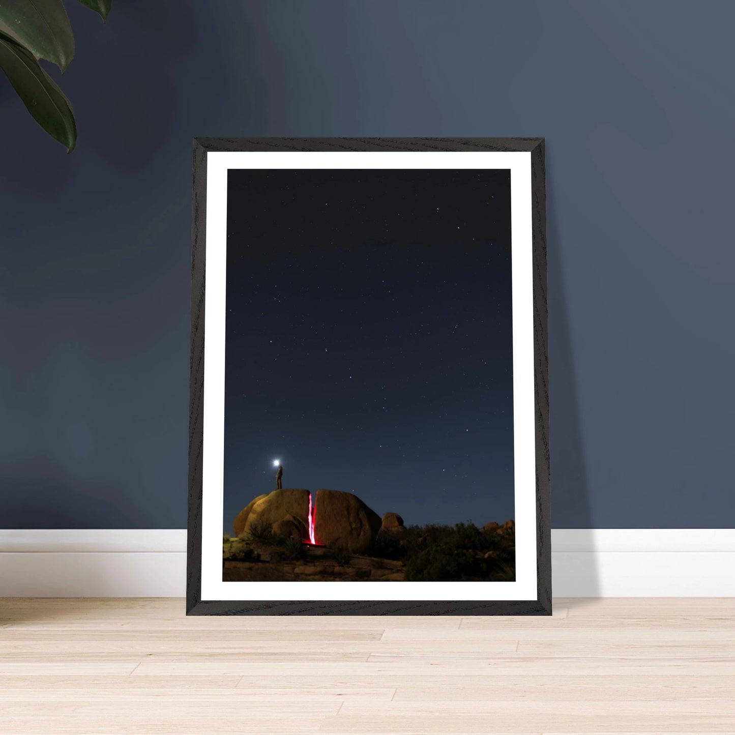 9d4ce888-7851-4169-8d6e-3fa0fd87f794