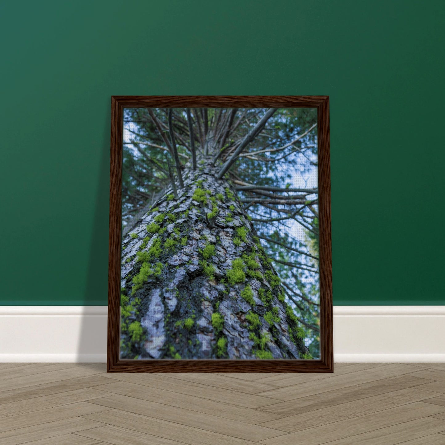 9dcfde70-f4db-4117-9010-d8121fd19bc2