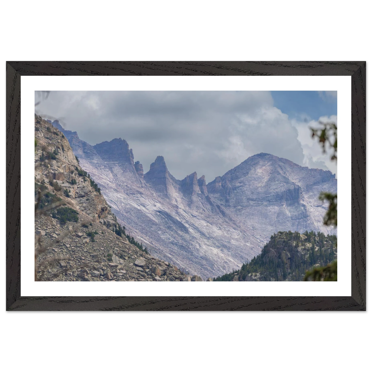Infrared Redwoods — Dawn Sentinel — framed or canvas wall art preview