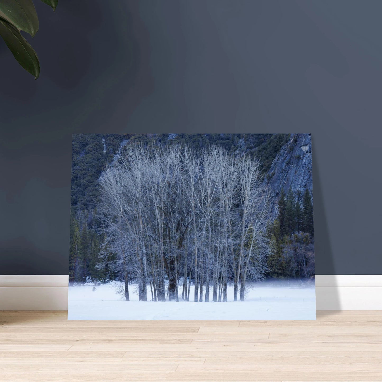 9e877295-e073-4461-97ed-12cf0944f12f