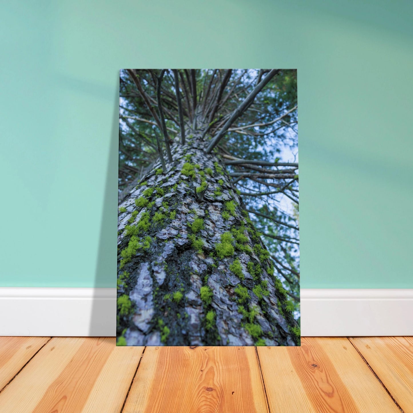 a035323e-e0f2-49c0-b5ad-7abc2c0a83e9