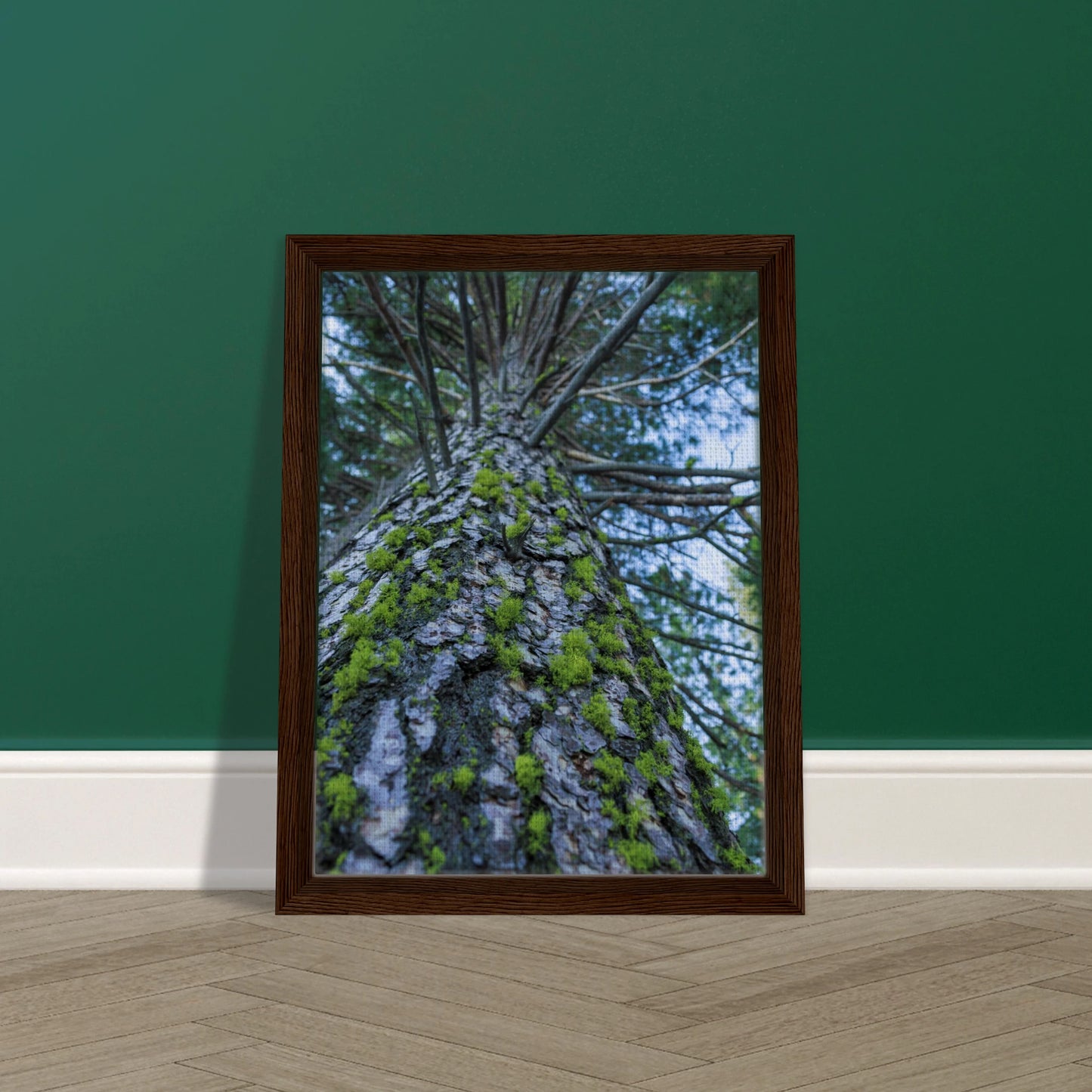 a13e21a1-ceca-4967-a2d6-af51a36e1045