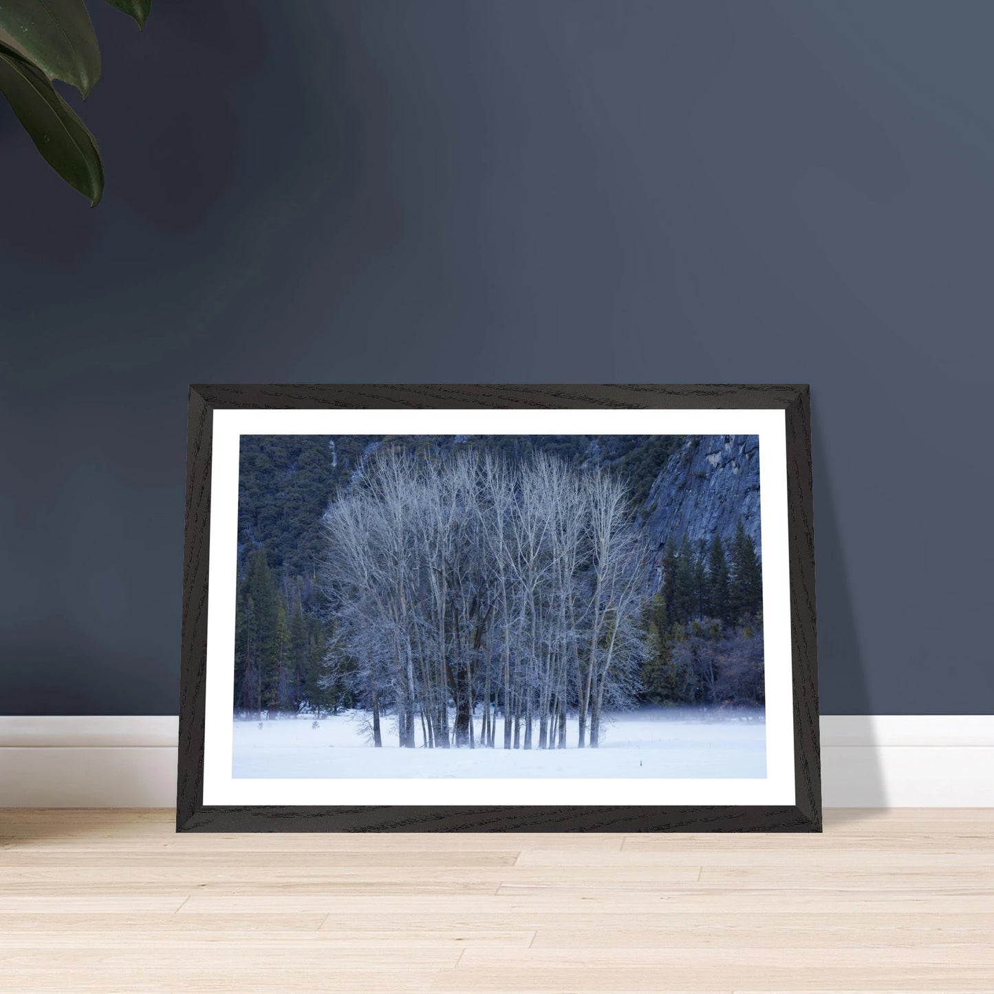 a4473b2d-2eca-47a6-b343-a19b961427e4